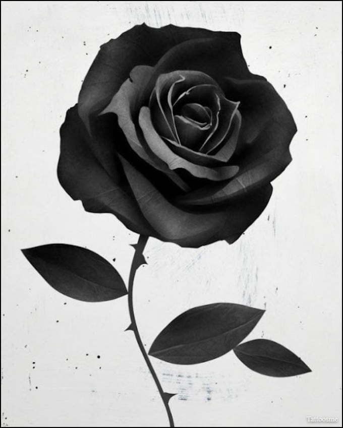 UPDATED 35 Beautiful Black Rose Tattoo Designs