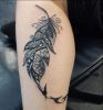 Feather Tattoo - 56 Best Feather Tattoo Designs And Ideas