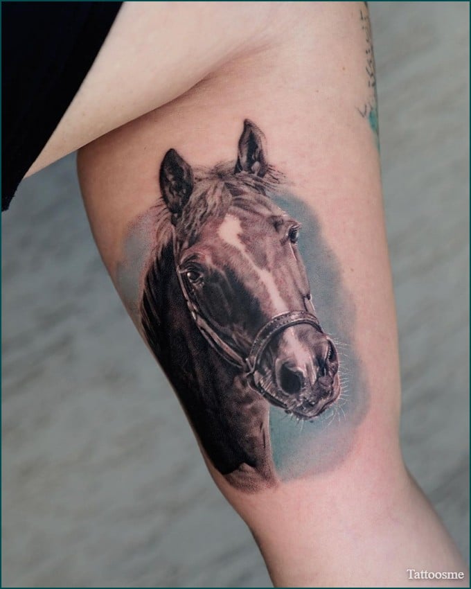inner bicep horse tattoo