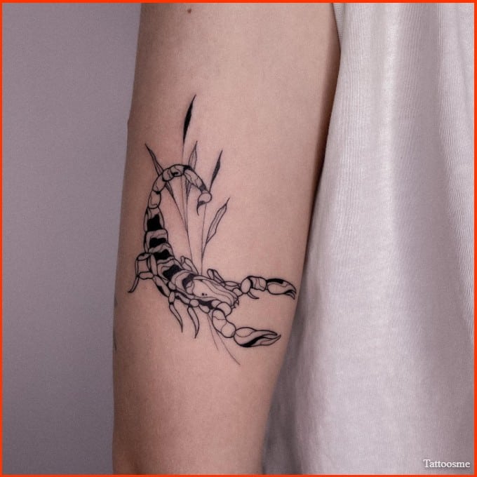 cool Scorpio zodiac tattoos