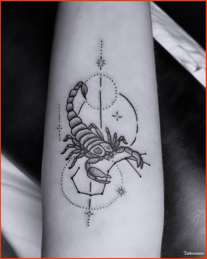 Flash Tattoos | Scorpion and rose - Temporary tattoo – The Flash Tattoo
