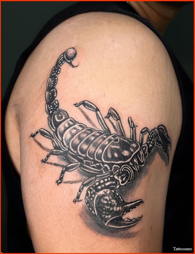 Roman Army Symbols Tattoo Scorpion Symbolism Always  Scorpion 3d Png  Transparent PNG  600x419  Free Download on NicePNG