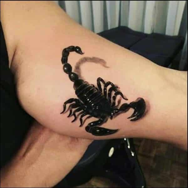 3d scorpion tattoos