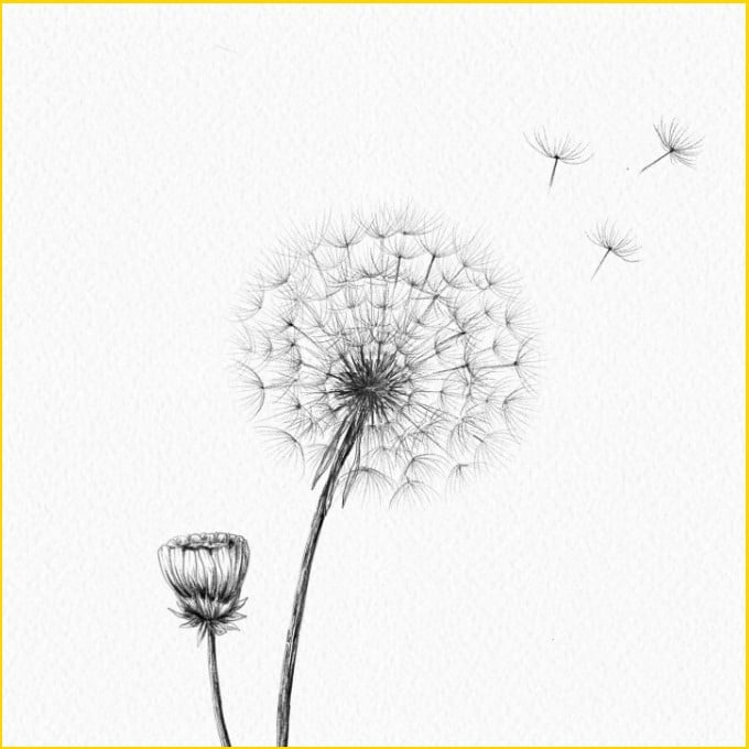 dandelion flower tattoo ideas
