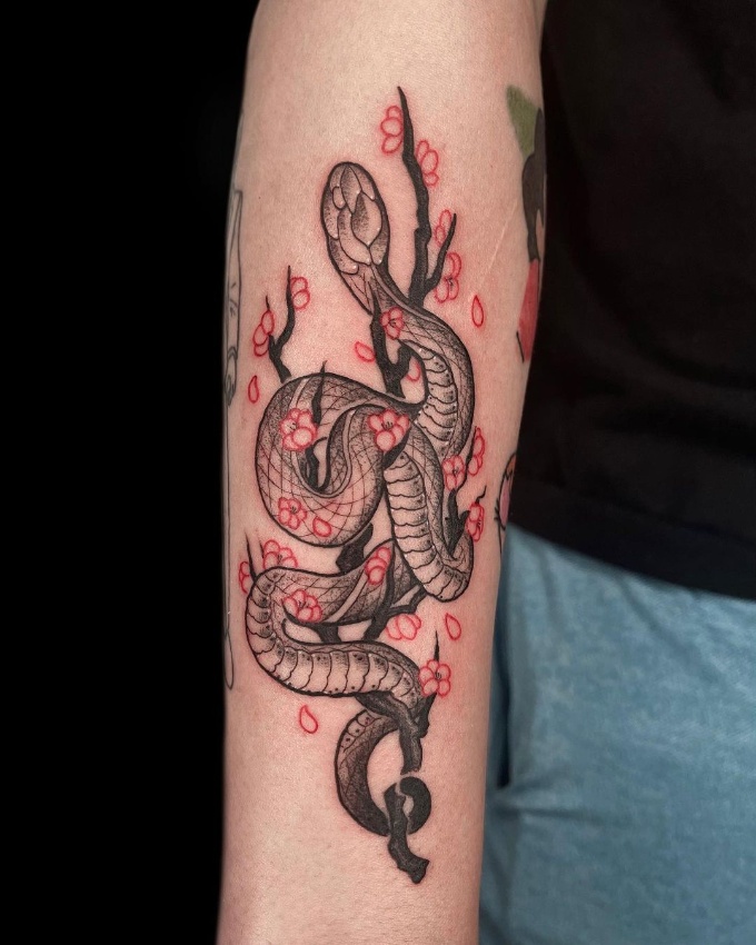 cherry blossom snake tattoo on forearm