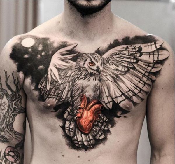 owl tattoos chest