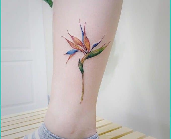 the bird of paradise flower tattoo