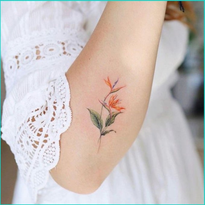 the bird of paradise flower tattoo